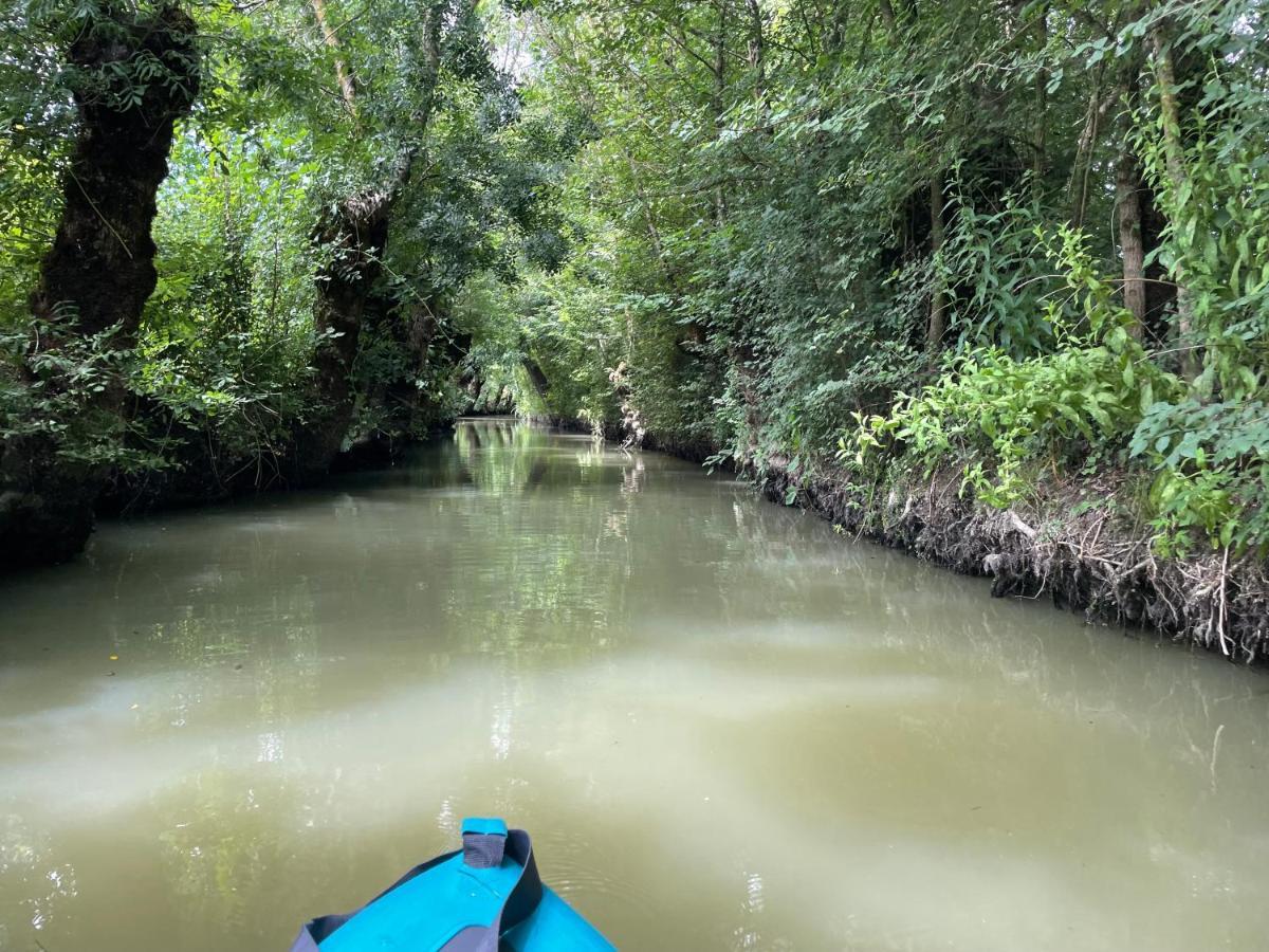 Ferienhaus Maison De Familiale Au Coeur Du Marais Poitevin Maillezais